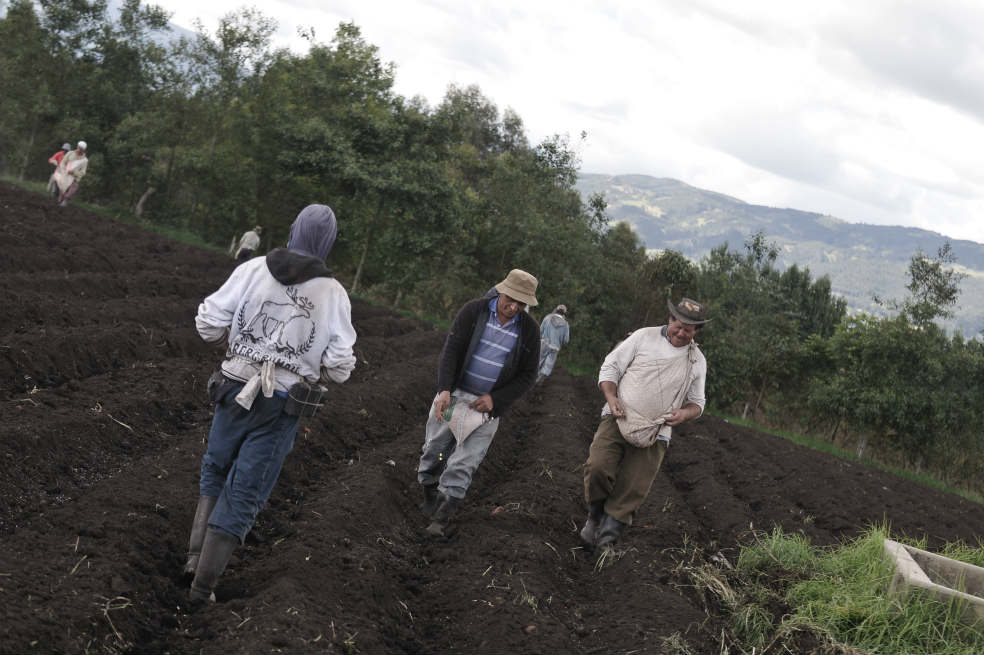 Una apuesta ambiental por la paz