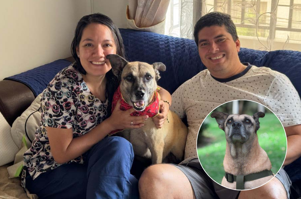 Odie, rescatado en el metro de Medellín, encuentra familia tras 13 años de espera