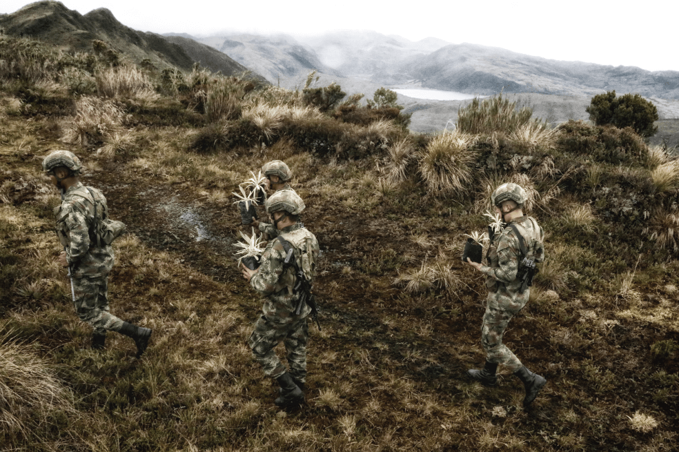 Medio ambiente, un asunto de seguridad nacional al que también le apuestan las Fuerzas Militares