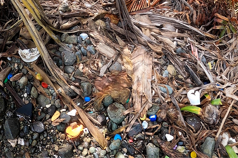 Crisis de basura en Capurganá: el lado oscuro del paraíso turístico