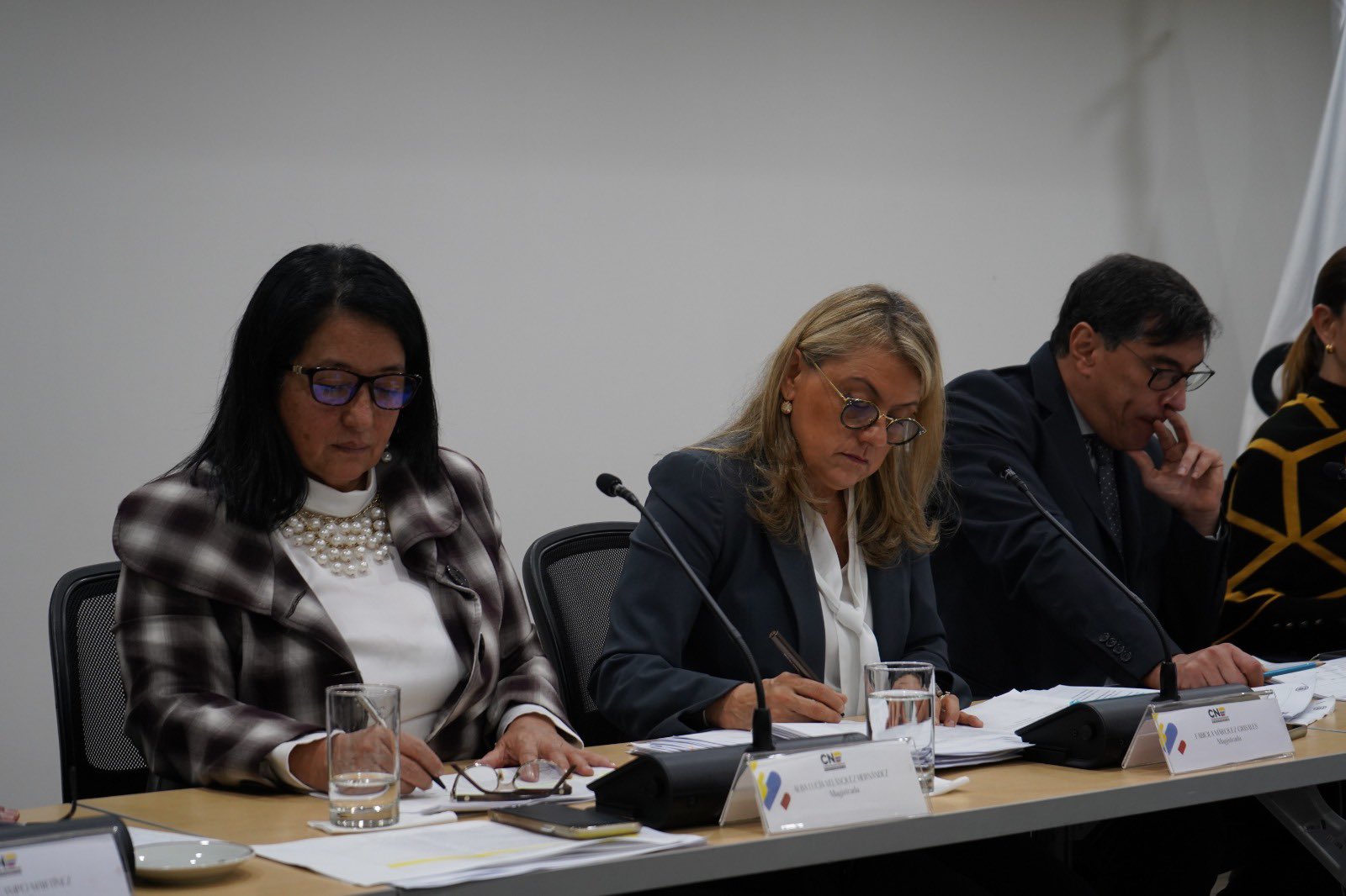 Oneida Pinto, Liliana Ramírez y otras candidaturas que ha tumbado el CNE