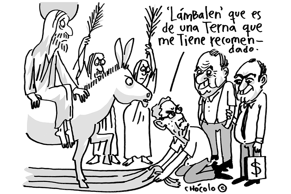 Chócolo