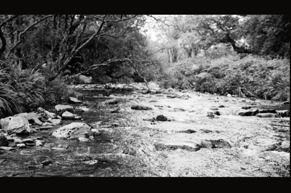 Premio de Residencia del Sidney Nolan Trust: Zillah Bowes ganó por su película Here Now There Then. De acuerdo con el jurado, "su práctica artística explora una indagación espiritual sobre el cambio climático y la biodiversidad, centrándose en la relación entre los individuos y el mundo natural".