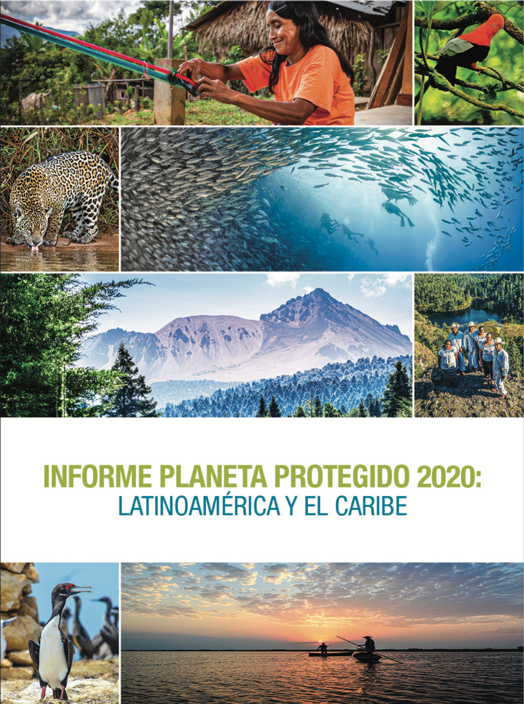 Latinoamérica y el Caribe (LAC) es la región más protegida del mundo según informe de Planeta Protegido