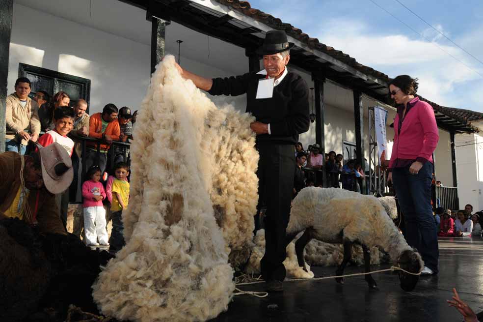 Un artesano exhibe su lana en la plaza central de Cucunubá, a 88 kilómetros de Bogotá.  / Cortesía Fundación Compartir
