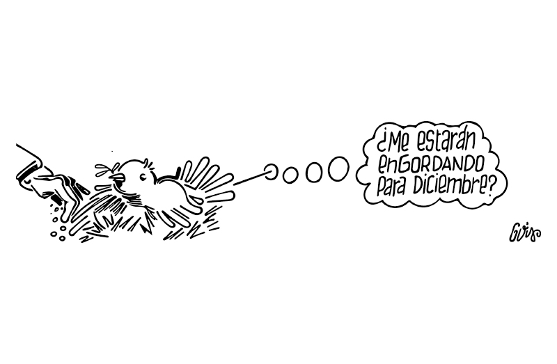 Paz total