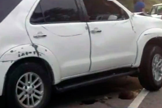 Animal atravesado en una vía causó accidente de Luifer Cuello