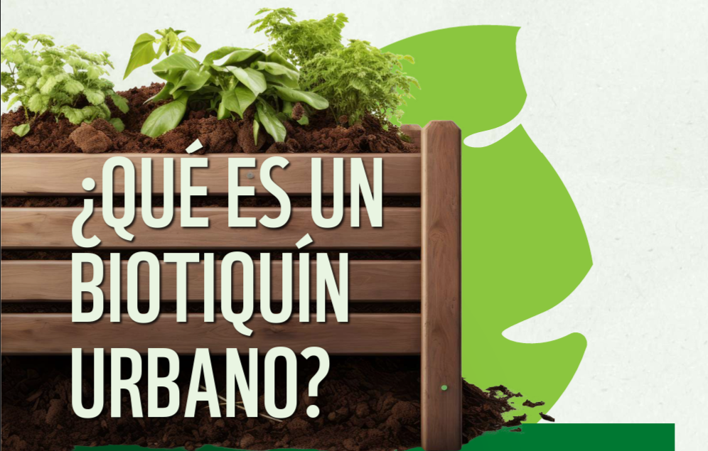 Lanzan nueva cartilla sobre plantas medicinales que puede cultivar en casa