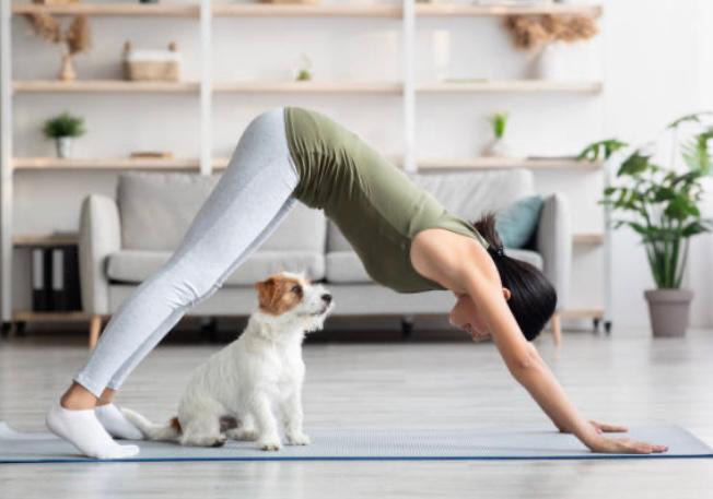 Prohíben la práctica de yoga con cachorros en Italia, ¿por qué?
