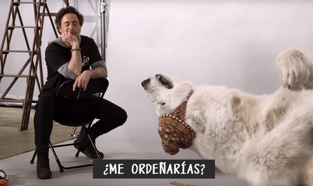 El casting de animales que hizo Robert Downey Jr. para el Doctor Dolittle