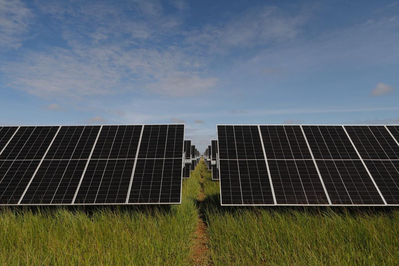 Otorgan licencia ambiental al Parque Solar La Achira, en Huila