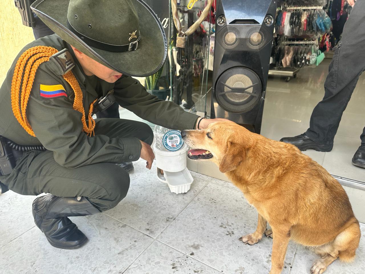 Fabrican bebederos artesanales para perros y gatos abandonados en Caldas