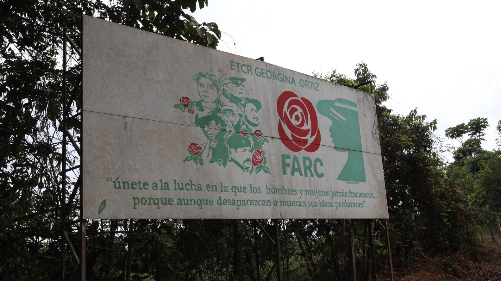 Excombatientes de FARC en Vistahermosa (Meta) denuncian amenazas en su contra