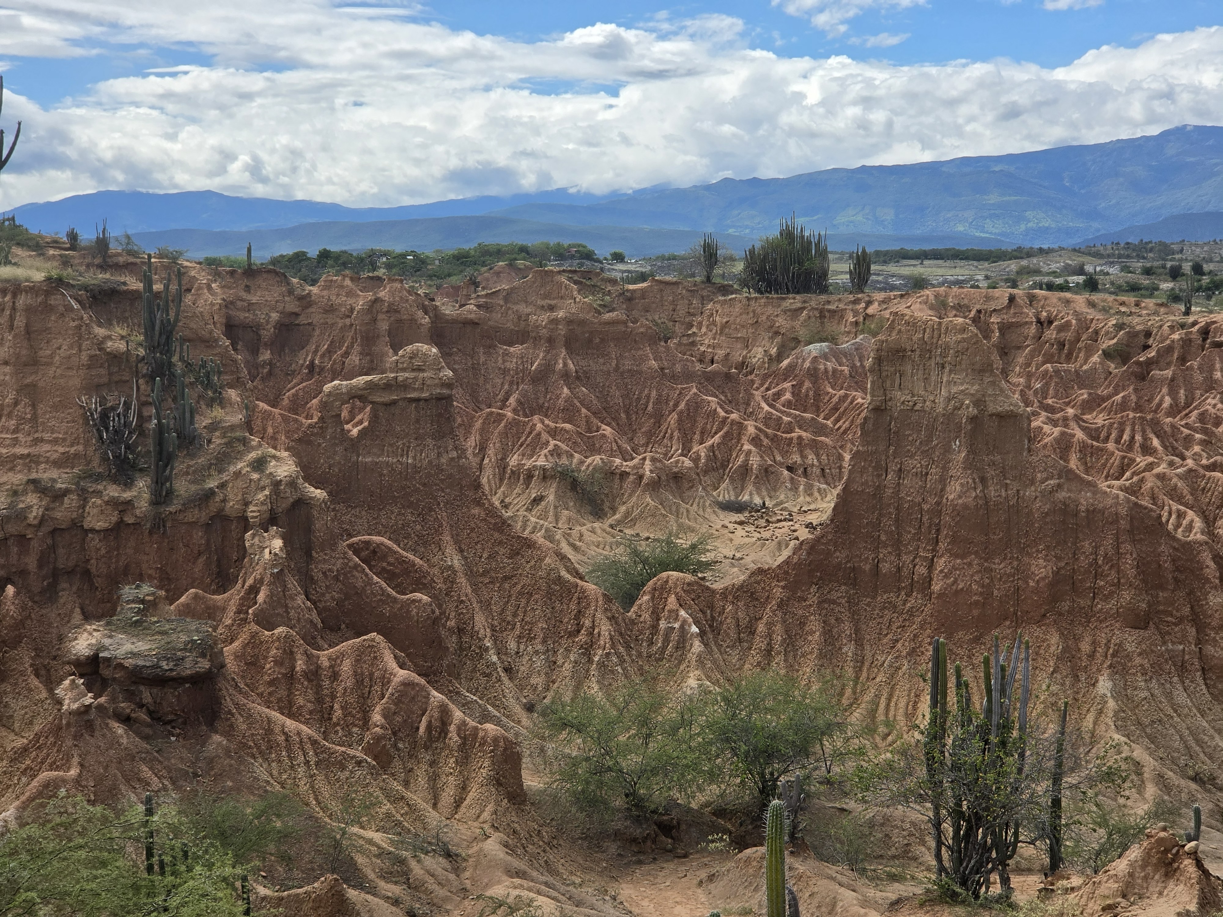 Aunque todos lo conocen como un desierto, en realidad se trata de un bosque seco tropical. Hace millones de años este territorio estuvo cubierto por exuberantes selvas, grandes ríos y una increíble diversidad de animales, un pasado que hoy permanece registrado en los fósiles encontrados en la zona de La Venta.