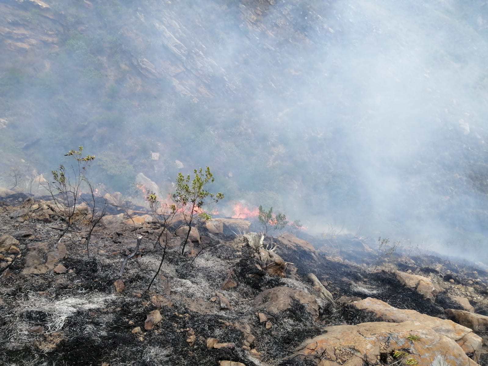 Incendio forestal arrasa con más de 100 hectáreas cerca a Villa de Leyva