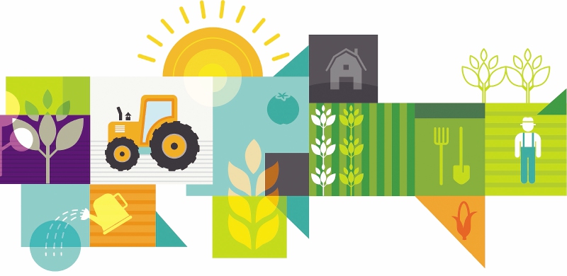 Sistemas agroalimentarios sostenibles, inclusivos, fuente de progreso y bienestar