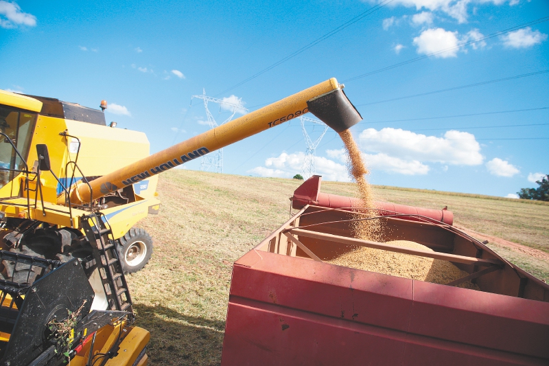 La guerra comercial, vista desde la perspectiva de la producción de soya