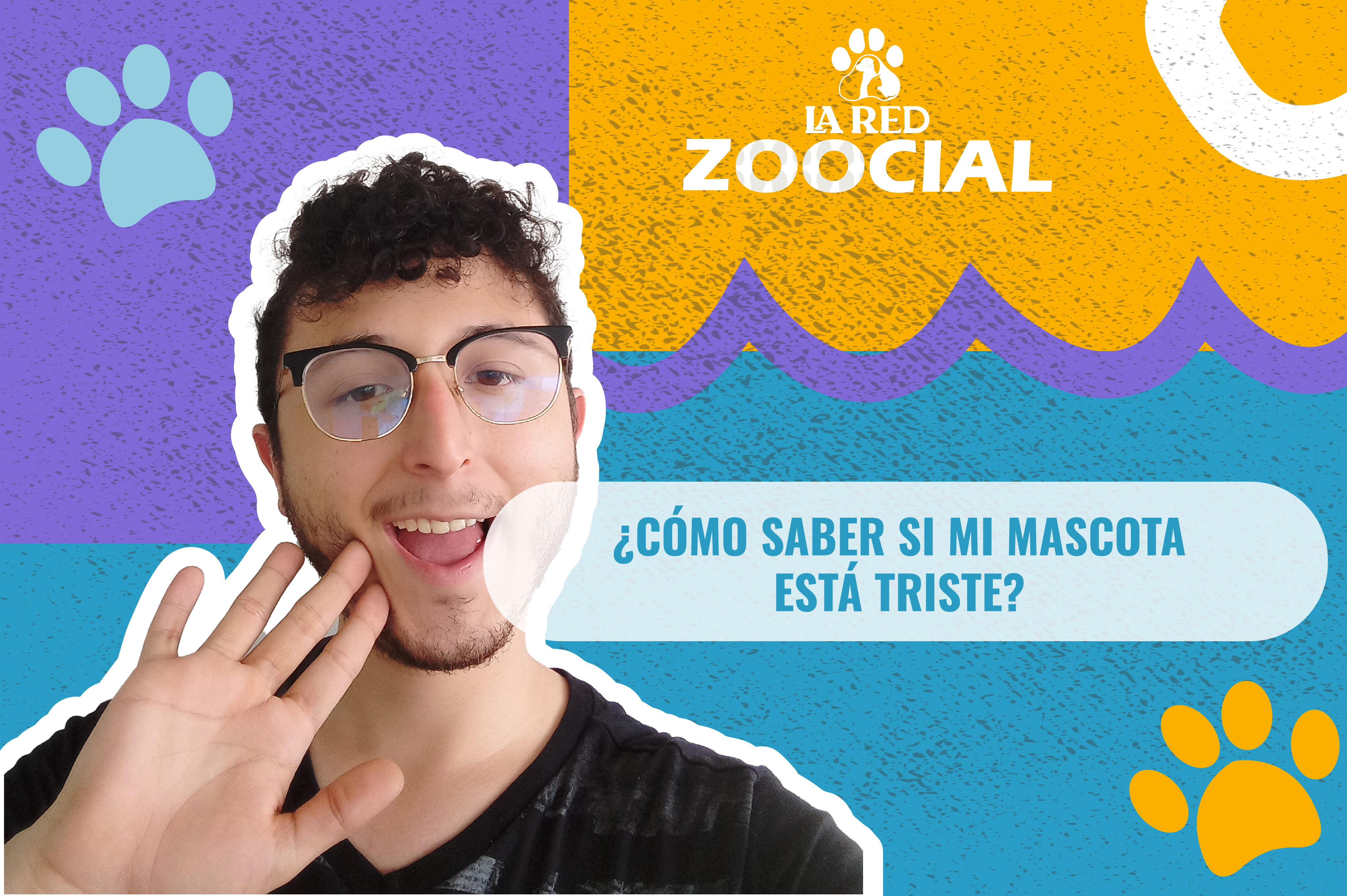 (Video) ¿Cómo saber si mi mascota está triste?