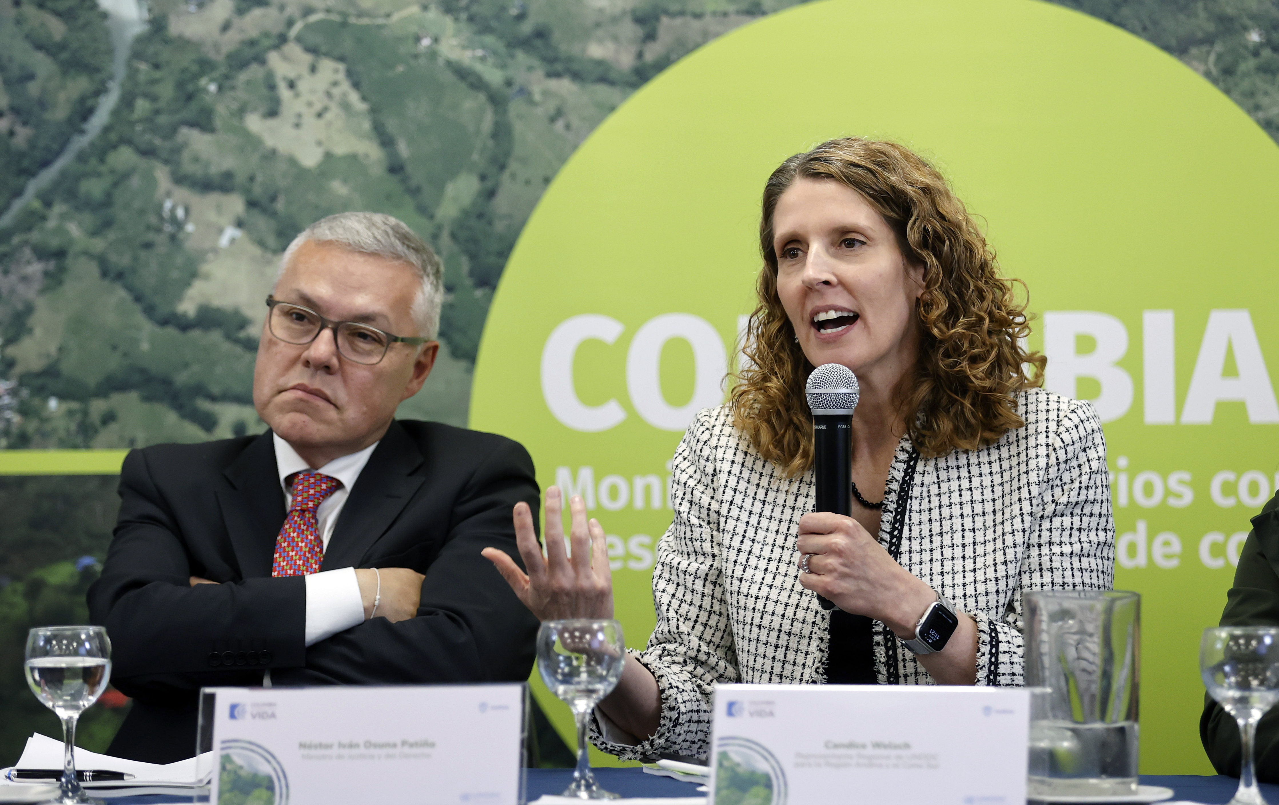 “Es la oportunidad para el desarrollo alternativo”: UNODC sobre monitoreo de coca