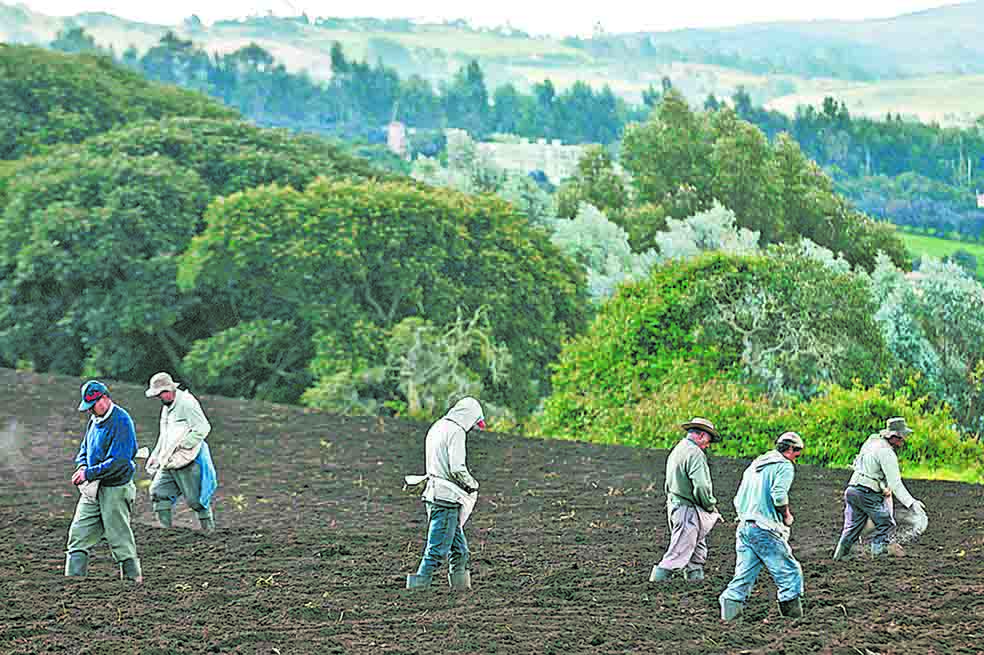 Corte Constitucional deja en firme ley Zidres