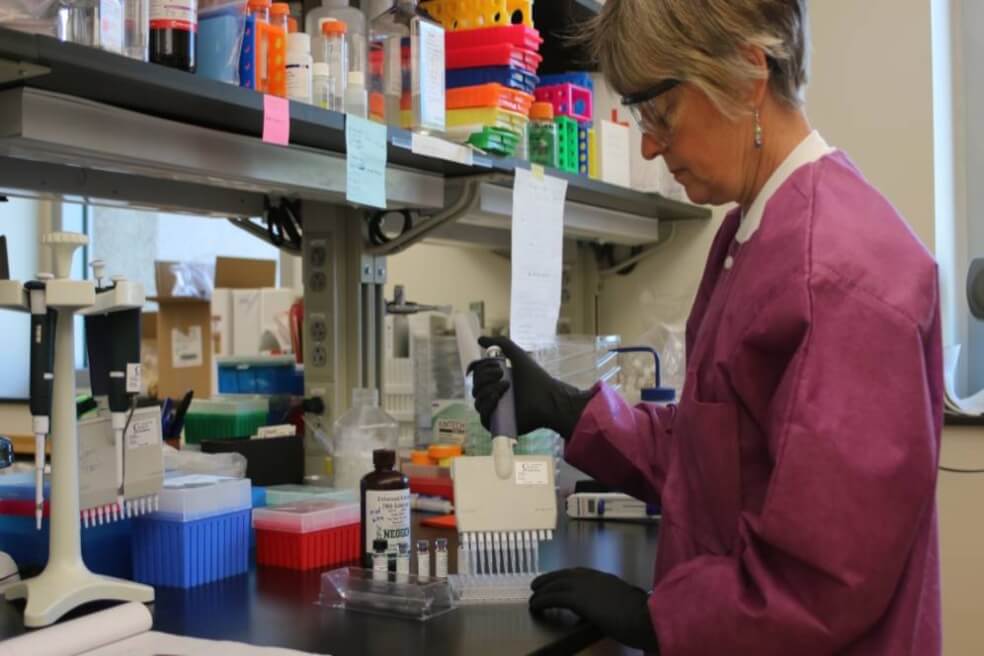 Con modelos computacionales predicen zonas de propagación del zika en Latinoamérica