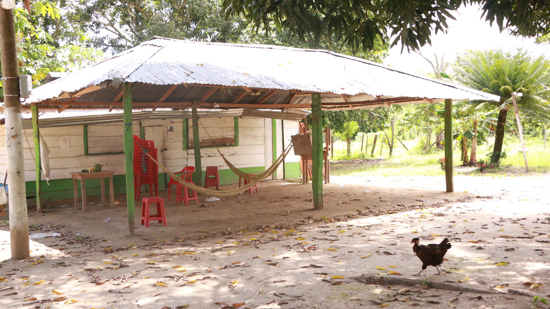Isla de la Amargura: un desplazamiento masivo que refleja el miedo en el Bajo Cauca