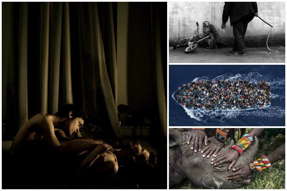 Premio World Press Photo: Viaje a la semilla