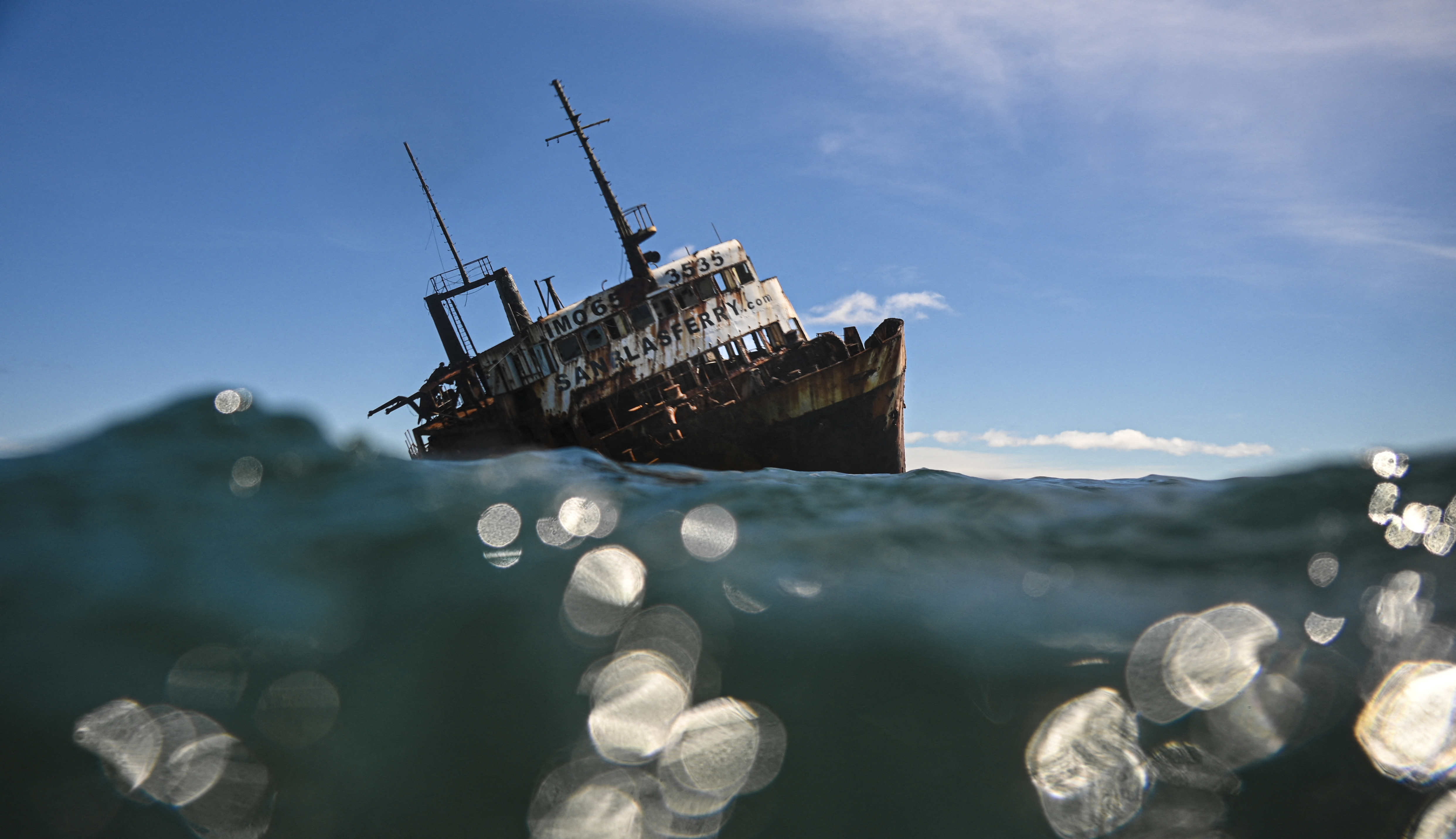 El Tratado de Alta Mar, clave para proteger la vida marina, entra en vigor