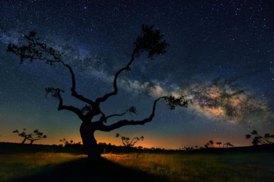 ‘El Árbol de la Galaxia’ del fotógrafo César Vega Toledano. /Nasa 