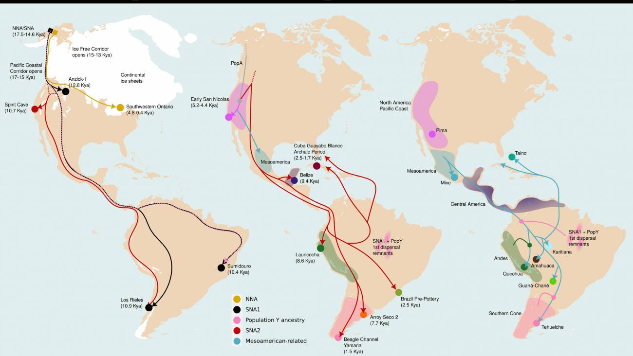 Tres grandes dispersiones moldearon la diversidad genética de los pueblos indígenas de Sudamérica. / Marcos Araújo Castro e Silva- Agencia SINC