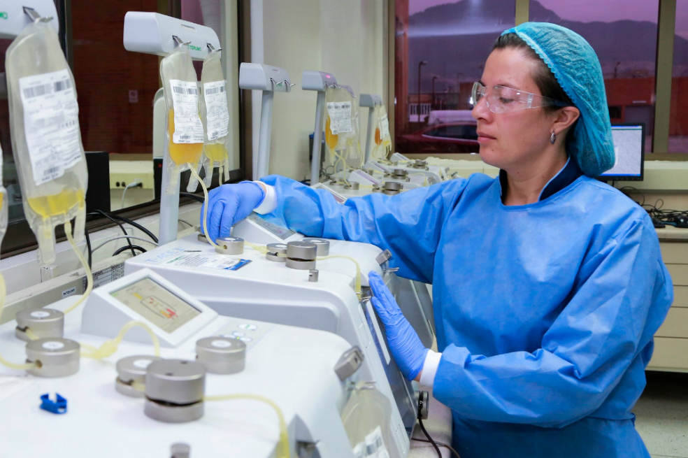 Premian a científicos del Distrito por investigación sobre células madre