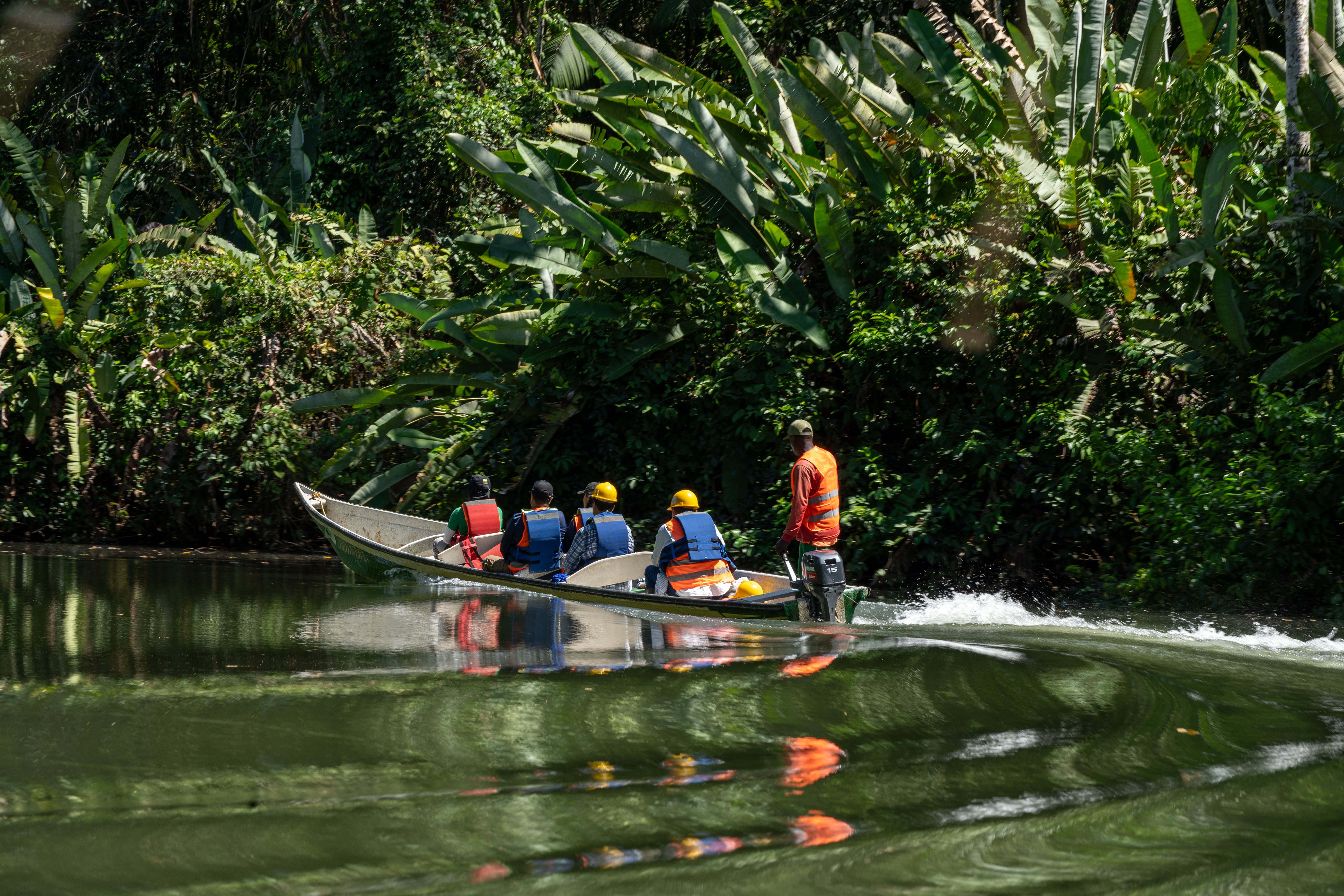El programa de paz que impulsó más de 200 proyectos agroambientales en Colombia