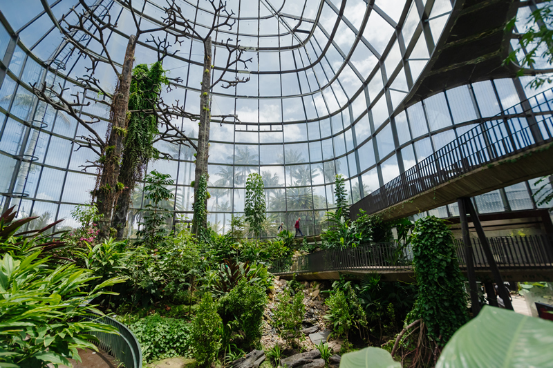 Prográmese para el Festival Estéreo Botánico en Bogotá: actividades y artistas invitados
