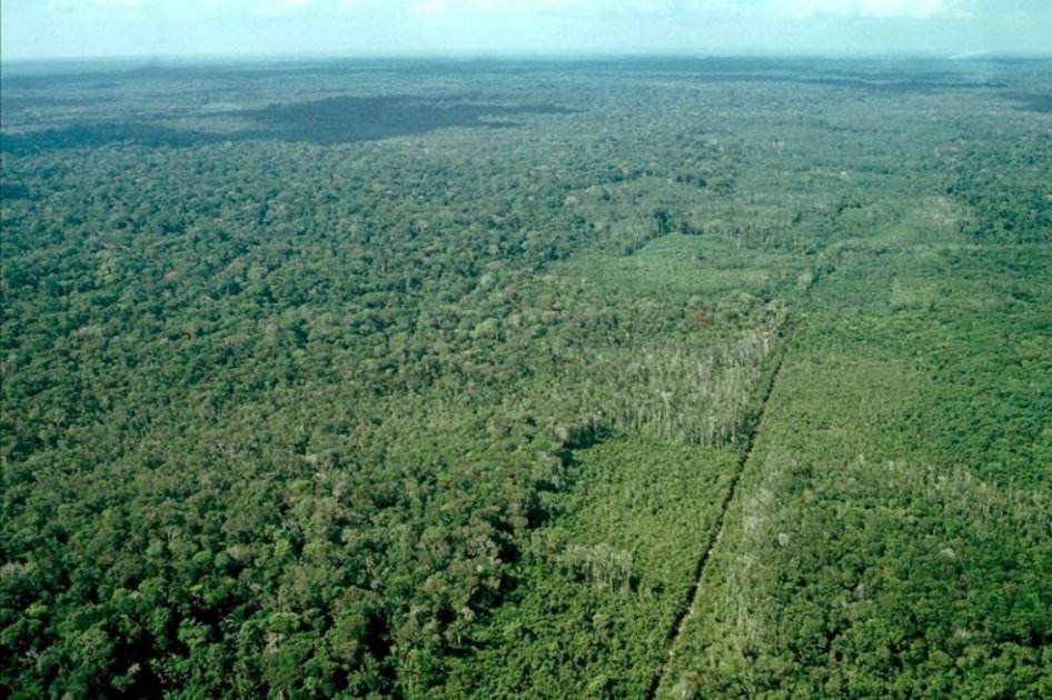 WWF afirma que a día de hoy el Planeta ya agotó los recursos de todo 2015