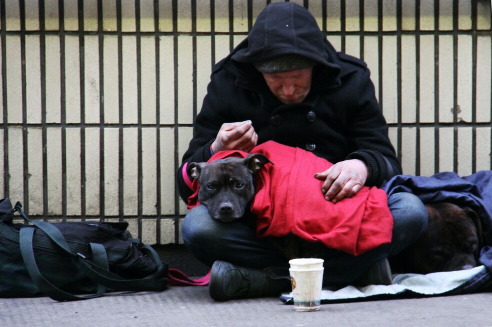 En busca de un nuevo sentido de vida: relación entre los habitantes de calle y sus mascotas