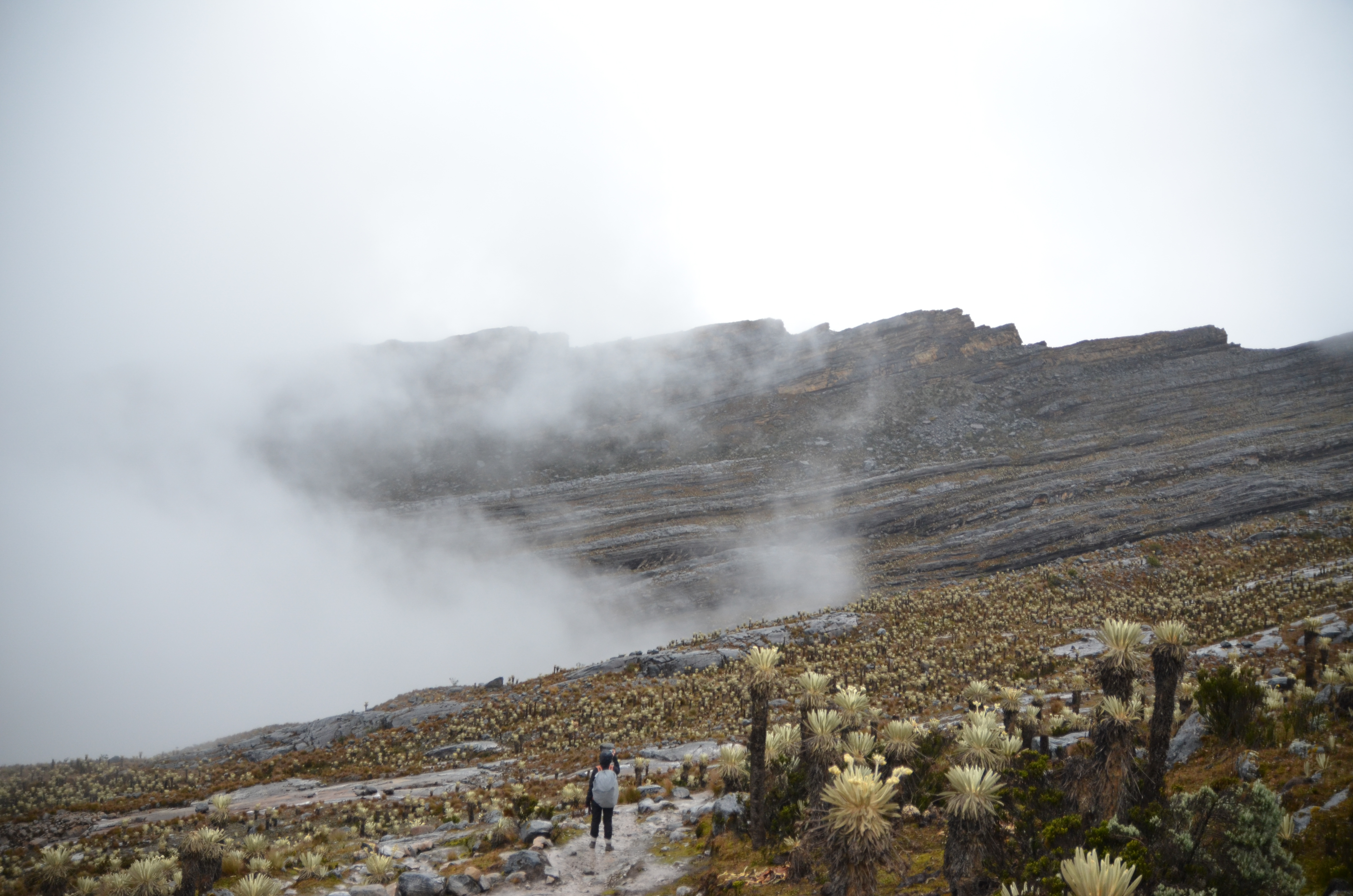 ¿Cuáles son las montañas más altas de Colombia y cómo visitarlas?