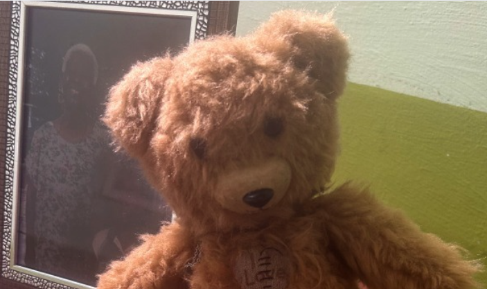 Viral | Una abuelita ofrece 2 millones de pesos por encontrar su osito de peluche