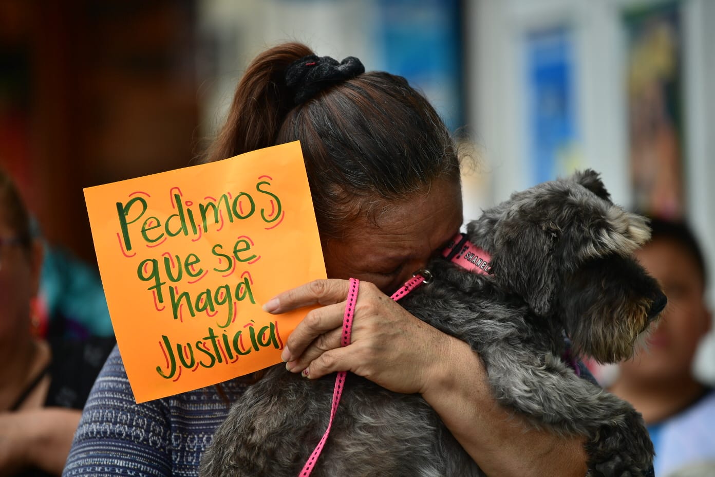 “Alcaldes deben trabajar con Fiscalía para tratar el maltrato animal”: Juan Miguel Torres