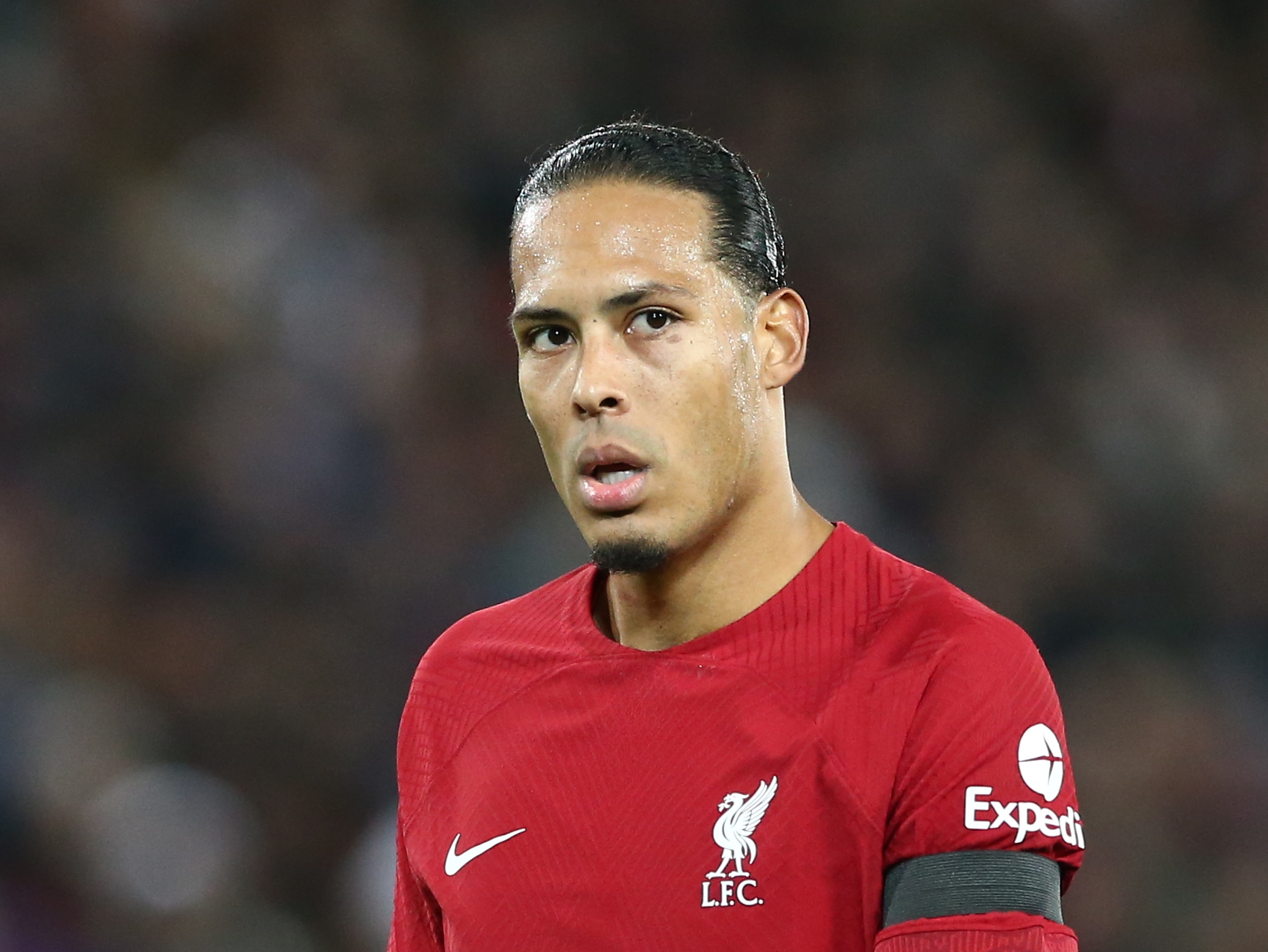 Nueva baja para Liverpool: Van Dijk estará más de un mes fuera de las canchas
