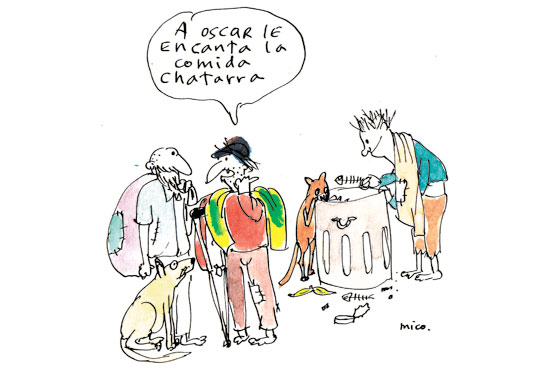 Comida chatarra