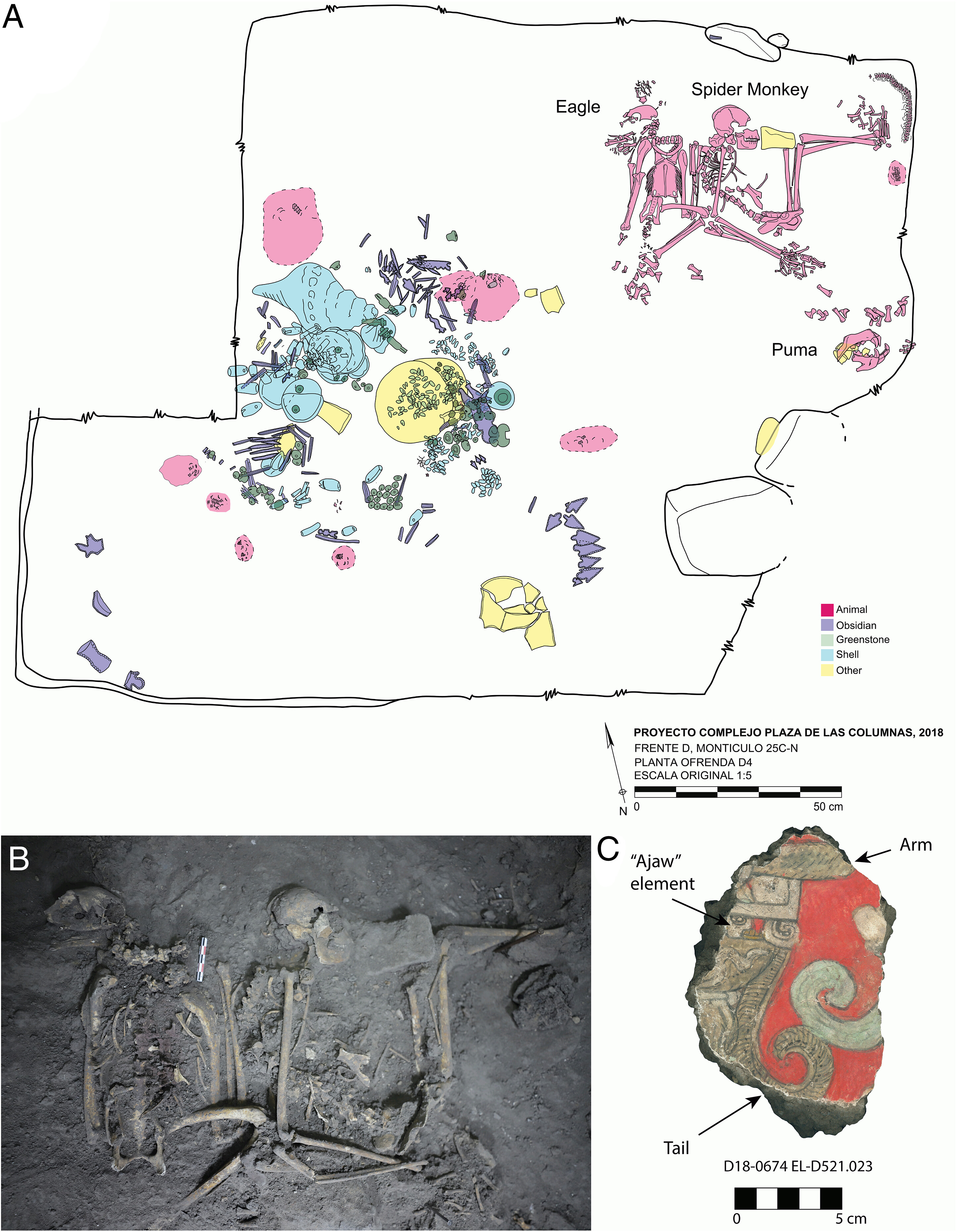 Este mapa muestra donde fueron encontrados los restos de animales.