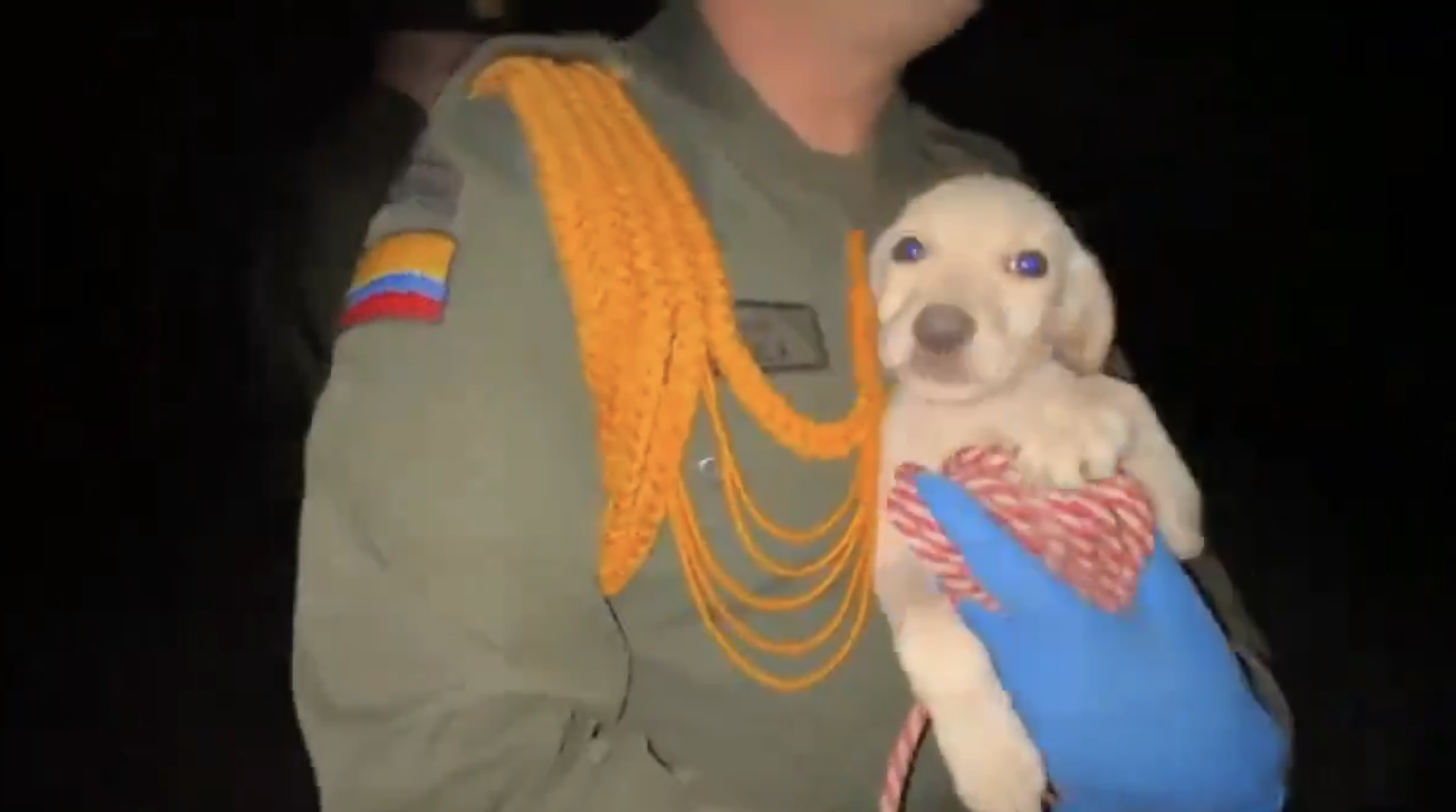 Rescataron a 17 cachorros y 19 aves, luego de que explotara una polvorería en Soacha