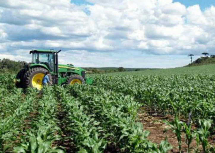 Variación de precios agropecuarios en primer semestre fue de 6,01 %