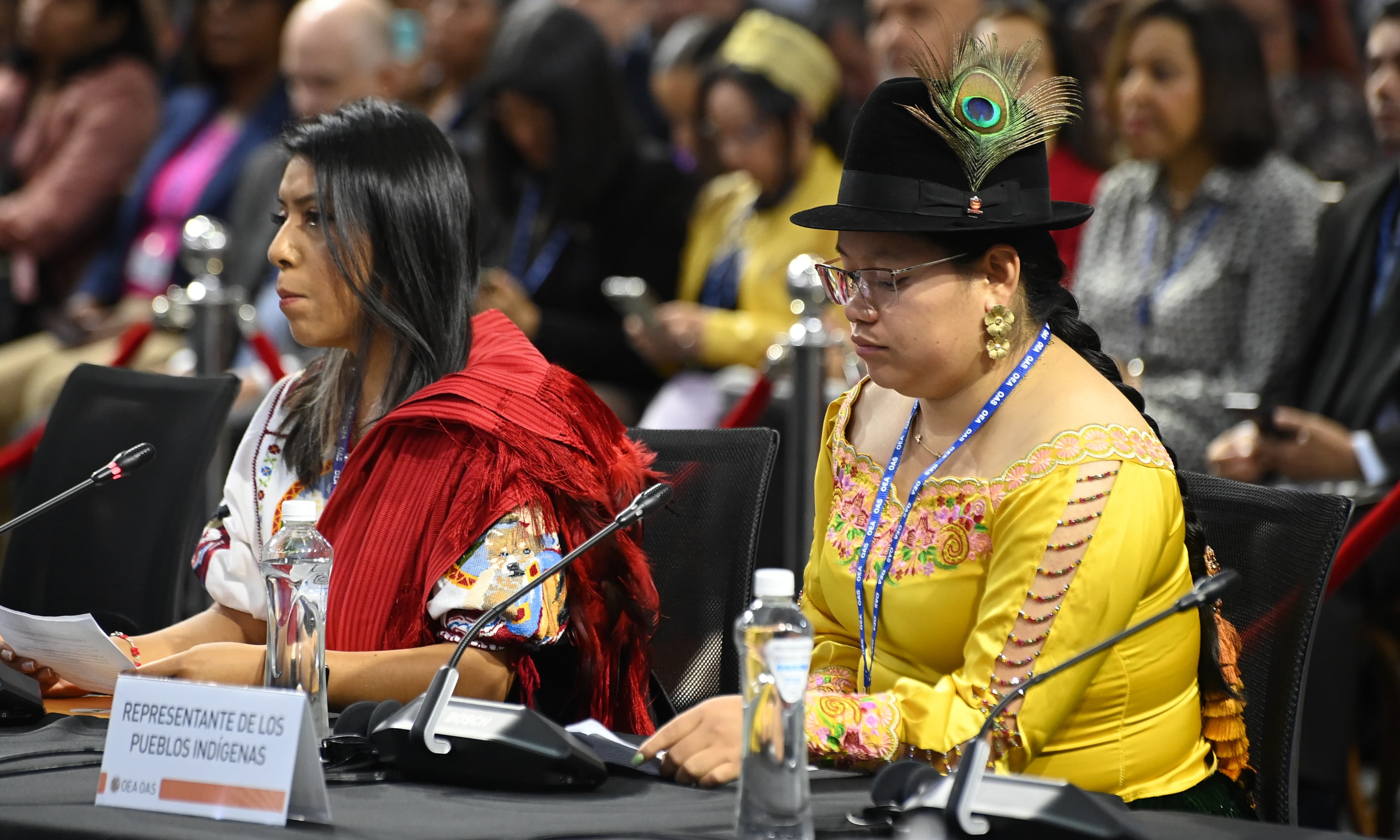 Patricia Torres es la coordinadora de la Coalición de Naciones y Organizaciones Indígenas ante la Asamblea General OEA.