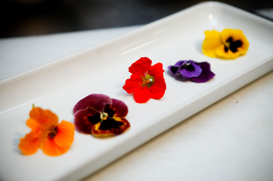 El sabor de las flores comestibles