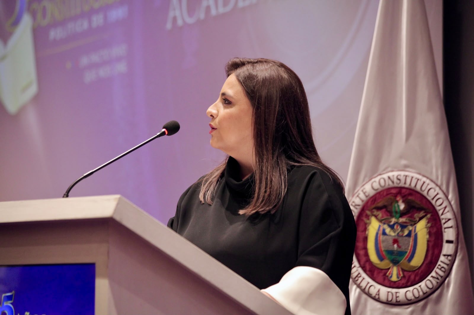 “Debemos proteger y cuidar la Constitución de 1991″: presidenta de la Corte Constitucional