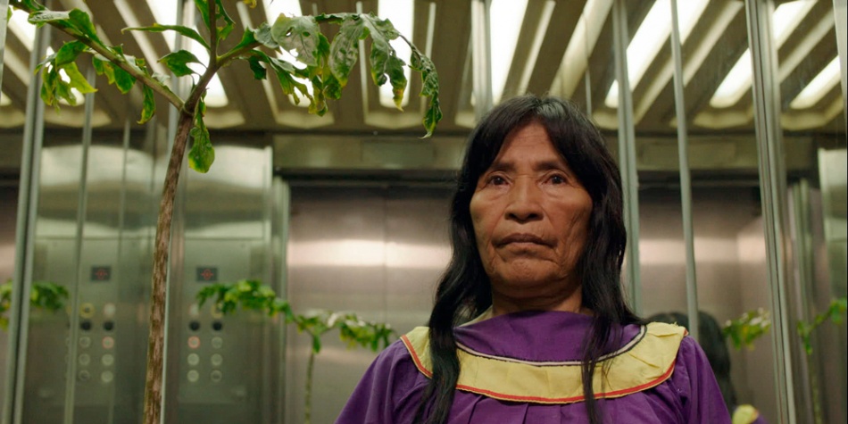 Icaros, una visión espiritual del Yagé