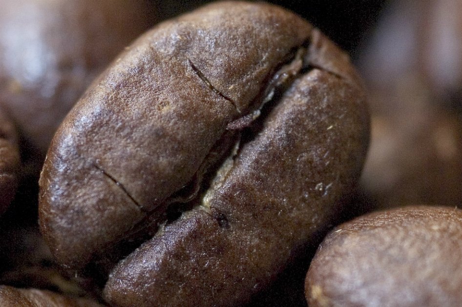 Café Robusta cae a su nivel más bajo en 5 años