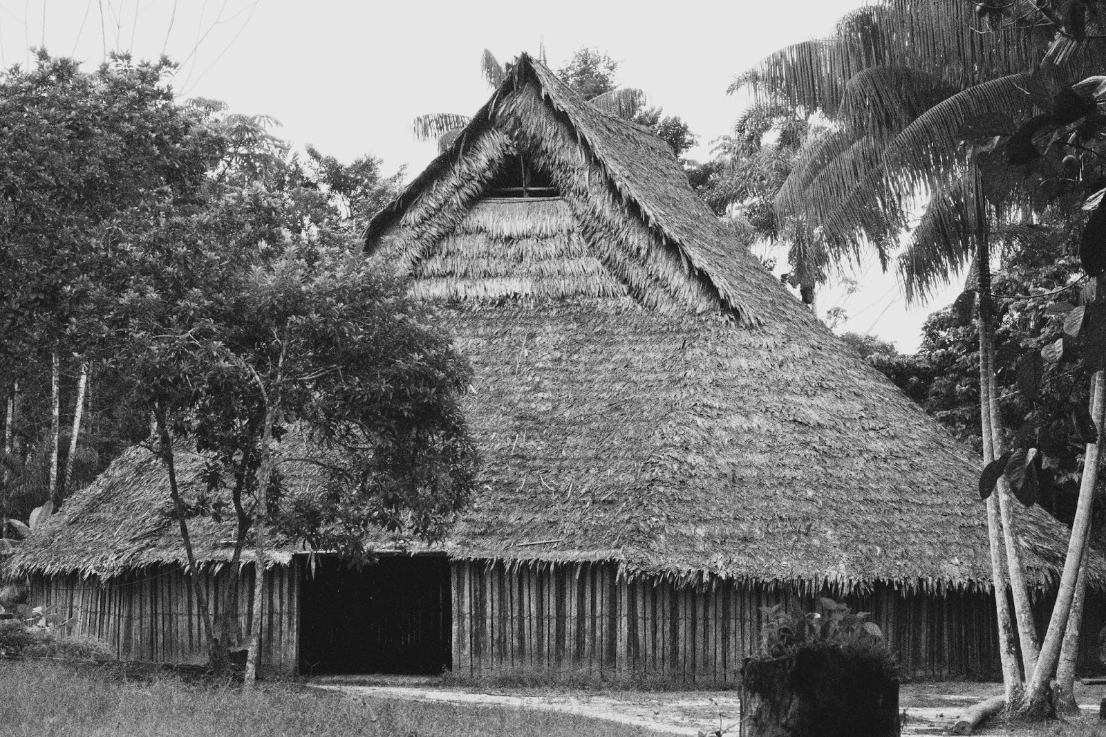 Maloca y mambe