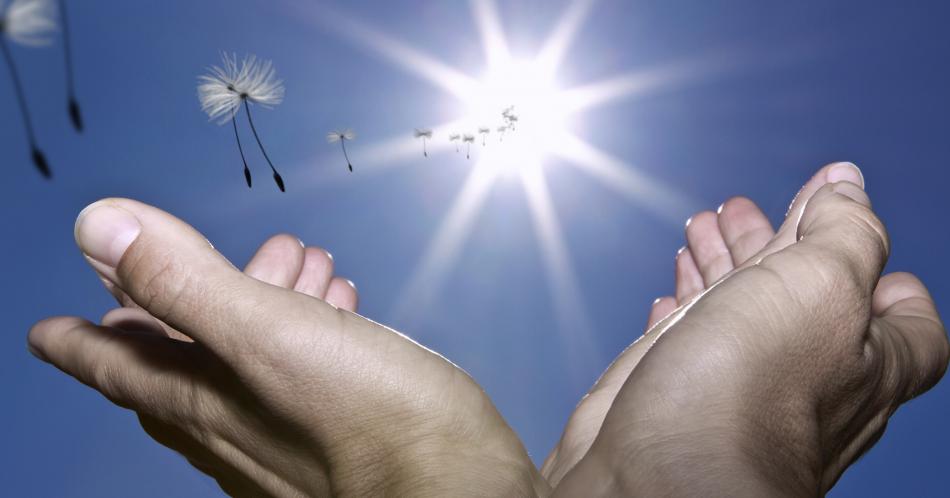 Virgo: es una semana para creer